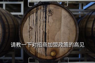 請教一下對招商加盟政策的高見