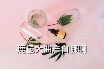 鹿邑大曲產自哪啊