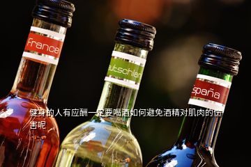 健身的人有應酬一定要喝酒如何避免酒精對肌肉的傷害呢