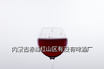 內蒙古赤峰紅山區有沒有啤酒廠