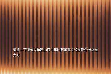請(qǐng)問一下哪位大神唐山百川集團(tuán)有董事長(zhǎng)沒是那個(gè)楊總最大嗎
