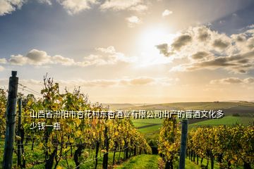 山西省汾陽市杏花村東杏酒業有限公司出產的晉酒文化多少錢一瓶