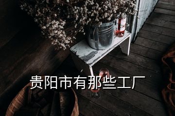 貴陽市有那些工廠