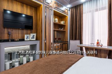 王丙乾酒和茅臺的味兒很像請問他們之間有什么關聯嗎