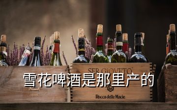 雪花啤酒是那里產的