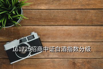 161725招商中證白酒指數分級