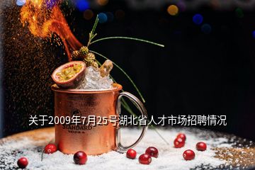 關(guān)于2009年7月25號湖北省人才市場招聘情況