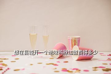 想在縣城開一個(gè)絕味鴨脖加盟費(fèi)得多少