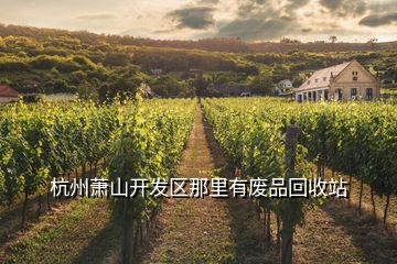 杭州蕭山開(kāi)發(fā)區(qū)那里有廢品回收站