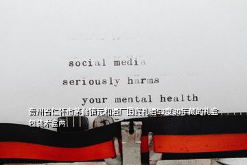 貴州省仁懷市茅臺鎮元和酒廠國賓禮酒52度30年藏的禮盒包裝木盒兩
