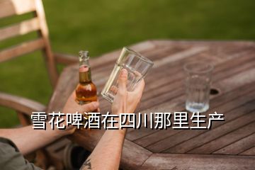 雪花啤酒在四川那里生產