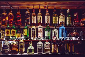華聲人才網(wǎng)是什么網(wǎng)站哦現(xiàn)在搞什么免費招聘不知道是不是真的
