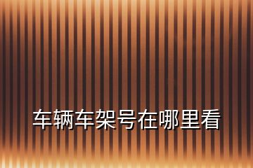 車(chē)輛車(chē)架號(hào)在哪里看