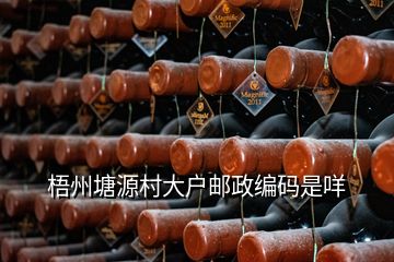 梧州塘源村大戶郵政編碼是咩