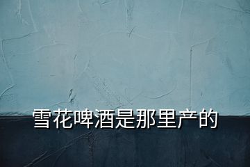 雪花啤酒是那里產的