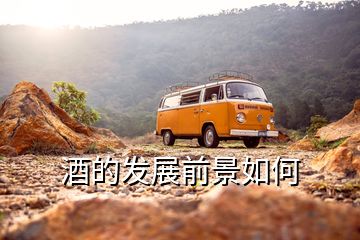 酒的發展前景如何