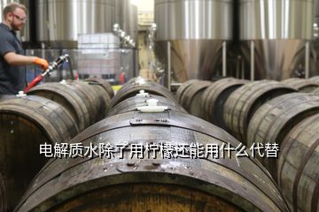 電解質水除了用檸檬還能用什么代替