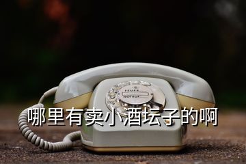哪里有賣小酒壇子的啊