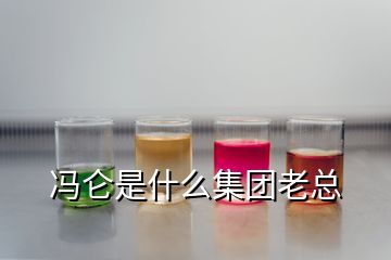 馮侖是什么集團老總
