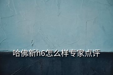 哈佛新h6怎么樣專家點評