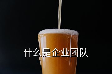 什么是企業團隊