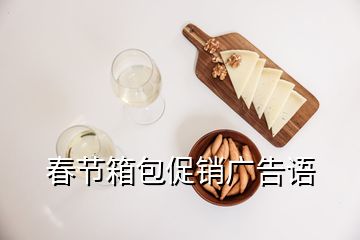 春節箱包促銷廣告語