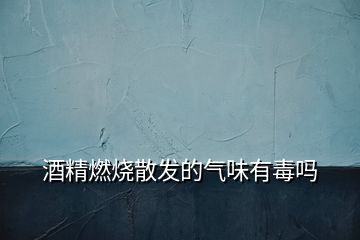酒精燃燒散發的氣味有毒嗎