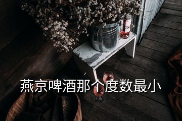 燕京啤酒那個度數最小