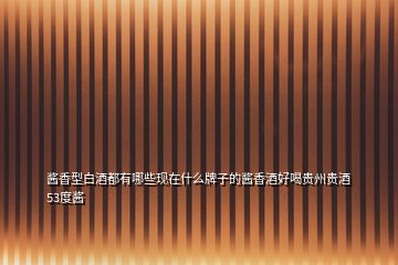 醬香型白酒都有哪些現在什么牌子的醬香酒好喝貴州貴酒 53度醬