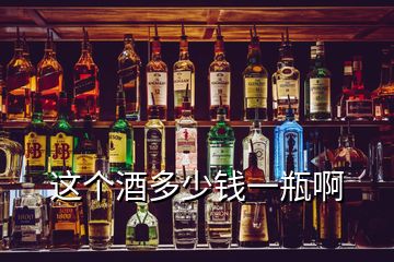 這個酒多少錢一瓶啊