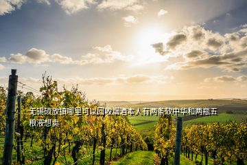 無錫碩放鎮哪里可以回收煙酒本人有兩條軟中華和兩瓶五糧液想賣