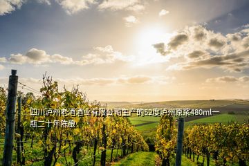 四川瀘州老酒酒業有限公司生產的52度瀘州原漿480ml一瓶二十年陳釀