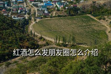 紅酒怎么發朋友圈怎么介紹