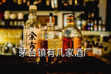 茅臺鎮有幾家酒廠
