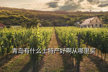 青島有什么土特產好啊從哪里買