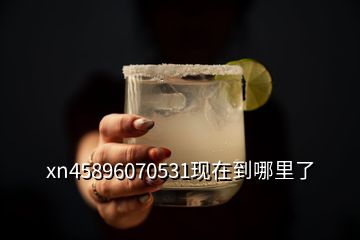 xn45896070531現在到哪里了
