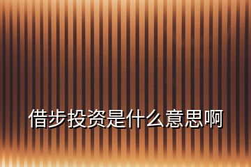 借步投資是什么意思啊