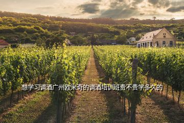 想學習調酒廣州歐米奇的調酒培訓班貴不貴學多久的
