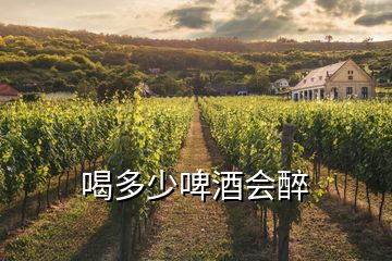 喝多少啤酒會醉