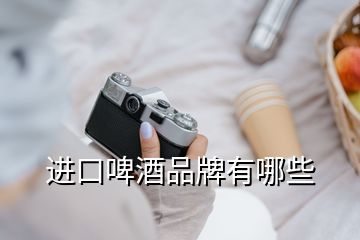 進口啤酒品牌有哪些