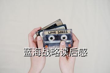 藍海戰略讀后感