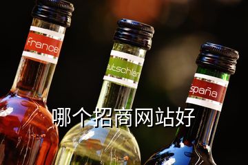 哪個招商網站好