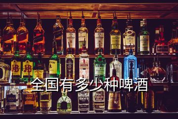 全國(guó)有多少種啤酒