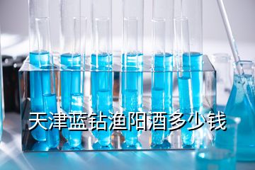 天津藍(lán)鉆漁陽酒多少錢