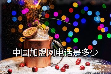 中國加盟網電話是多少