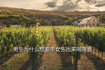 男生為什么想要帶女生出來(lái)喝啤酒