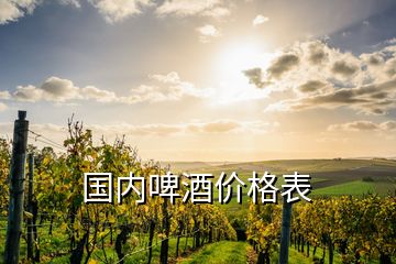 國內啤酒價格表