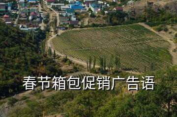 春節箱包促銷廣告語