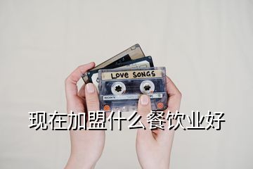 現在加盟什么餐飲業好
