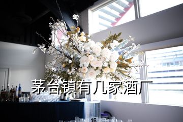 茅臺鎮有幾家酒廠